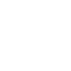 2a